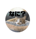てっちゃんとじーちゃん（個別スタンプ：6）