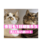 てっちゃんとじーちゃん（個別スタンプ：7）