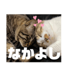 てっちゃんとじーちゃん（個別スタンプ：17）