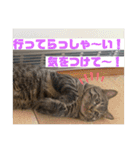 てっちゃんとじーちゃん（個別スタンプ：21）