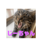 てっちゃんとじーちゃん（個別スタンプ：23）