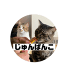 てっちゃんとじーちゃん（個別スタンプ：24）