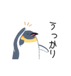 コウテイペンギンのコッピー（個別スタンプ：24）