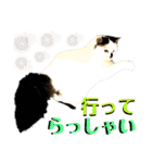 ねねこ♥⑰しらたまくんとミミミちゃん編（個別スタンプ：5）