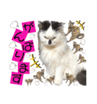 ねねこ♥⑰しらたまくんとミミミちゃん編（個別スタンプ：7）