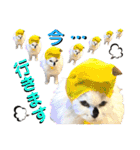 ねねこ♥⑰しらたまくんとミミミちゃん編（個別スタンプ：9）