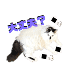 ねねこ♥⑰しらたまくんとミミミちゃん編（個別スタンプ：18）