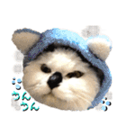 ねねこ♥⑰しらたまくんとミミミちゃん編（個別スタンプ：19）