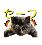 ねねこ♥⑰しらたまくんとミミミちゃん編（個別スタンプ：23）