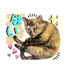 ねねこ♥⑰しらたまくんとミミミちゃん編（個別スタンプ：26）