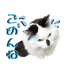 ねねこ♥⑰しらたまくんとミミミちゃん編（個別スタンプ：29）