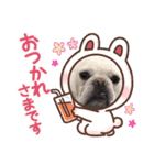 フレンチ・ブルドッグ （ライム）（個別スタンプ：6）