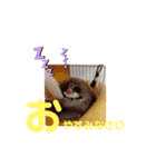 モモンガ〜くるみ〜（個別スタンプ：6）