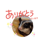 モモンガ〜くるみ〜（個別スタンプ：7）
