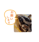 モモンガ〜くるみ〜（個別スタンプ：8）