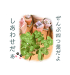 開運 スピリチュアル 多肉植物 てるてる（個別スタンプ：2）