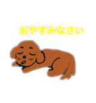 まろん①〜挨拶（個別スタンプ：5）