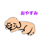 まろん①〜挨拶（個別スタンプ：6）