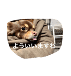 ちこスタンプスタンプ（個別スタンプ：7）