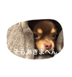ちこスタンプスタンプ（個別スタンプ：8）