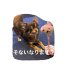 ちこスタンプスタンプ（個別スタンプ：11）