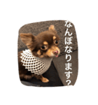 ちこスタンプスタンプ（個別スタンプ：26）