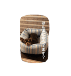 ちこスタンプスタンプ（個別スタンプ：28）