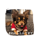 ちこスタンプスタンプ（個別スタンプ：35）