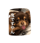 ちこスタンプスタンプ（個別スタンプ：38）