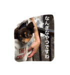 ちこスタンプスタンプ（個別スタンプ：39）