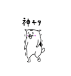 ねこさん レベルMax（個別スタンプ：11）