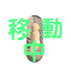 たんたんの日常で使えるスタンプ！（個別スタンプ：8）