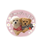 きなこととうふの日常（個別スタンプ：5）