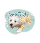 きなこととうふの日常（個別スタンプ：7）