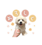 きなこととうふの日常（個別スタンプ：8）
