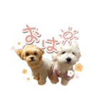 きなこととうふの日常（個別スタンプ：9）