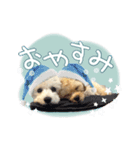 きなこととうふの日常（個別スタンプ：10）