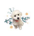 きなこととうふの日常（個別スタンプ：11）
