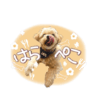 きなこととうふの日常（個別スタンプ：12）