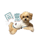 きなこととうふの日常（個別スタンプ：13）