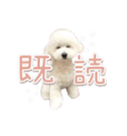 きなこととうふの日常（個別スタンプ：14）