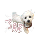 きなこととうふの日常（個別スタンプ：16）