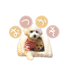 きなこととうふの日常（個別スタンプ：17）