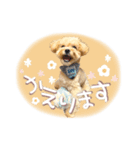 きなこととうふの日常（個別スタンプ：18）