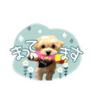 きなこととうふの日常（個別スタンプ：20）