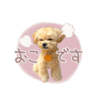 きなこととうふの日常（個別スタンプ：21）