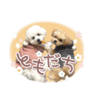 きなこととうふの日常（個別スタンプ：23）