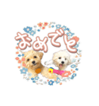 きなこととうふの日常（個別スタンプ：24）