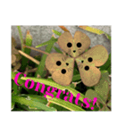 植物コメント(春)（個別スタンプ：6）