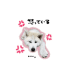 ♡SHIORI様2（個別スタンプ：1）